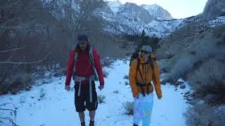 The King of the Jungle - Pine Creek CA