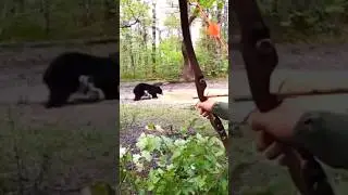 Охота на медведя в одиночку Традиционная стрельба из лука в лучшем виде