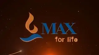 Max Corporate Identity