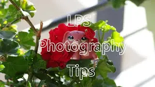 LPS Photography Tips