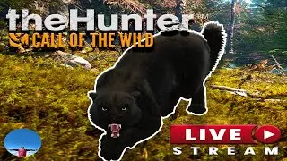 Call of The Wild - Sundarpatan Grinding
