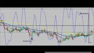 Lachlan Elsworth Trading Results