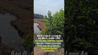 Nh&agrave; Vườn T&acirc;y Ninh | Nh&agrave; Đất T&acirc;y Ninh | Bất Động sản | Đất view S&ocirc;ng gi&aacute; rẻ