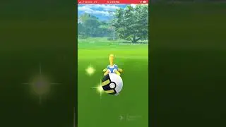 Shiny Shuckle! #pokemon #pokemongo