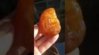 Сердолик, речная галька #сердолик #carnelian