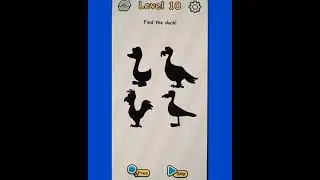 #Braincrack #level 10 