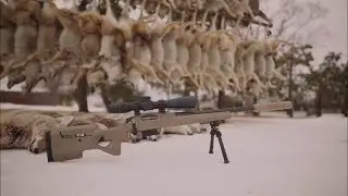 Бесшумная винтовка, Кастомная винтовка CR MOD-0 MK-1 22-250 rem от O&rsquo;Neill Ops