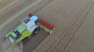 Chapman Farms - Barley Harvest - 01.08.2017