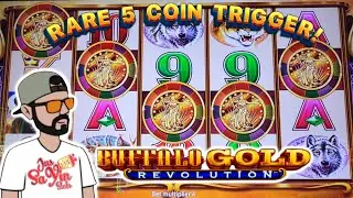 Wow! Rare 5 Coin Trigger on Buffalo Gold Revolution 🚨 Live Slot Play at Casino