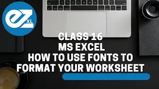 Class 16 - MS Excel fonts to make your sheet look cool