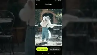 Cool pets.
