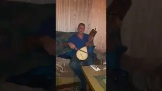 Srpske gusle