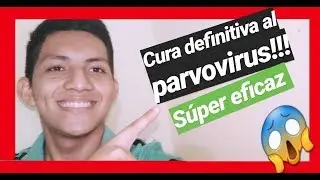 🔴2019 Cura para salvar a tu perro del parvovirus muy eficaz SALVA A TU AMIGO!!!!!!