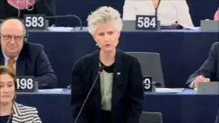 Anna Maria Corazza Bildt Point of Order, Firearms Directive