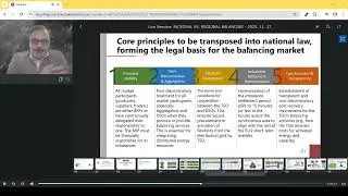 Regulatory Aspects of Balancing Services