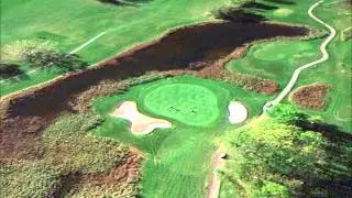 Deerwood Golf Course - Fawn #3