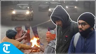 Dense fog envelops Punjab, Haryana as cold wave intensifies in region
