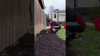 How Gardening Helps Me Stay Present & Grounded #grounded #balancedlifestyle #life #healthylifestyle