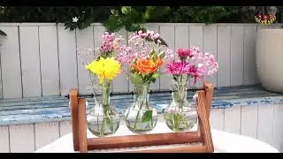 XXXFLOWER Plant Terrarium with Wooden Stand | Air Planter Bulb Glass Vase | Home Garden, 3 Bulb Vase