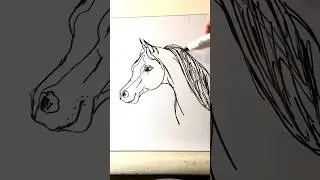 Arabian Horse lineart  #drawwithme #horseart #animalartist #lineart #horseartist #artist