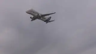Airbus A330-743 Beluga XL über Hamburg-Finkenwerder