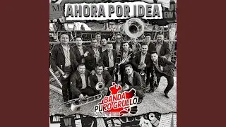 De Apodo Tulipan