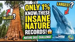 Only 1% Know These INSANE Nature World Records! 🤯 Nature Quiz Challenge