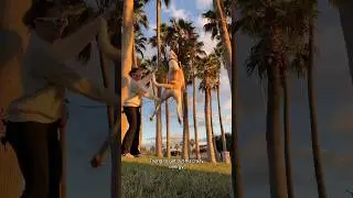 My dog can fly?! 😱 #dog #dogshorts #pets #dogmom #petowner #doglover #vlog #petlover #pup #puppy