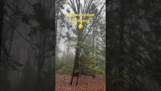 Дружелюбие/Доброта #цитаты #саморазвитие #успех #viralvideo #youtube #youtubeshorts #trending #сша