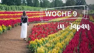 Woche 9 - Tokyo German Village, Chiba, Kaffeemesse - Japan Vlog