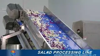 #Salad Processing Line, salad cutting washing machinery.