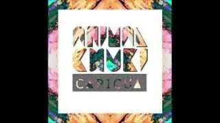 Animal Chuki - Polen