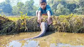Top 10 Hand Fishing   A Asian 2 Village Boy Catching Big Monster Catfish By Hand In Mud Water