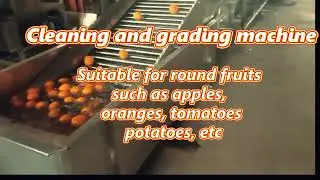 Orange Sorting Machine ,Lemon  Grading Machine, Apple Sorting machine