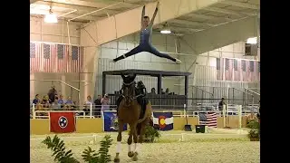 Equestrian Vaulting - A Quick Look