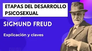 Etapas del Desarrollo Psicosexual, Sigmund Freud ✔️Resumen y ejemplos