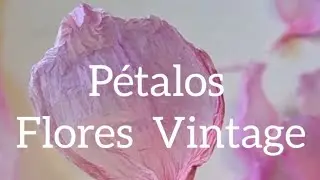 TUTORIAL DE ROSA VINTAGE PREMIUM o FLORES DE TELA /How to make beautiful and easy flower