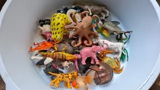 PLASTIC ANIMAL COLLECTION : DINOSAURUS COW HORSE ELEPHANT DUCK CAT BIRD PIG FISH SNAKE OKTOPUS FROG