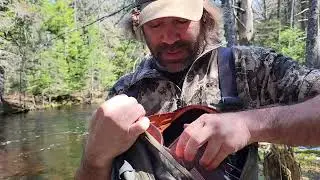 Sling Pack Review