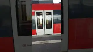 Abfahrteines Hamsters von der Rothenburger Stra&szlig;e in N&uuml;rnberg