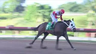 CARRERA 6 - 28/JUNIO/2024 (CHILL HAZE)