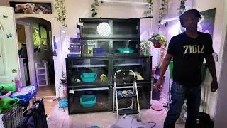 Boa Constrictor Care: Replacing the LED Light in My Animal Plastics T-10