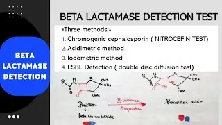 Beta Lactamase detection