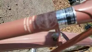 Schwinn Collegiate
