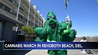 Residents participate in Global Cannabis March for advocacy, awareness