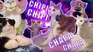 Чипи Чипи Чапа Чапа ULTIMATE MEME REMIX