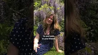 Dr Bach&rsquo;s Flower Remedies Training 8th-12th August 2023 | Joanne Sumner Wellbeing