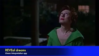 REAR WINDOW - which one of you killed my dog