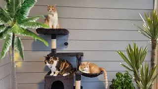 Bisque&Pearl is live!