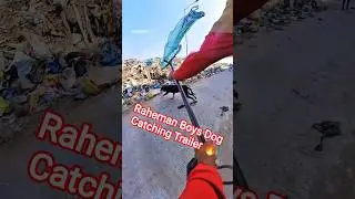 Rahman Dacoit Amazing Dog Catch #dog #mafiadogcatcher #shorts #amazing #ytviral #ytshorts